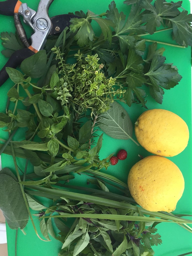 Garden herbs and Meyer lemons