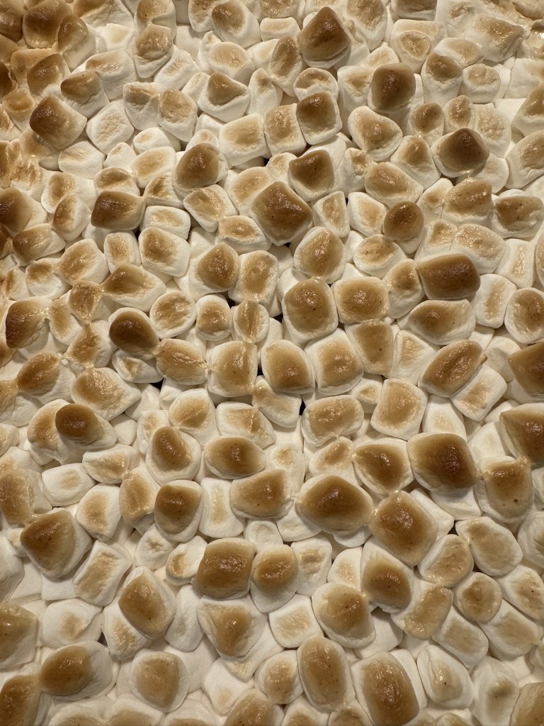 Toasted marshmallows
