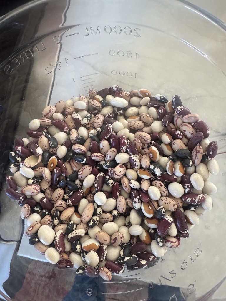 Heirloom beans
