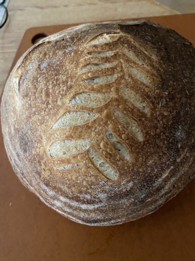 Sourdough boule