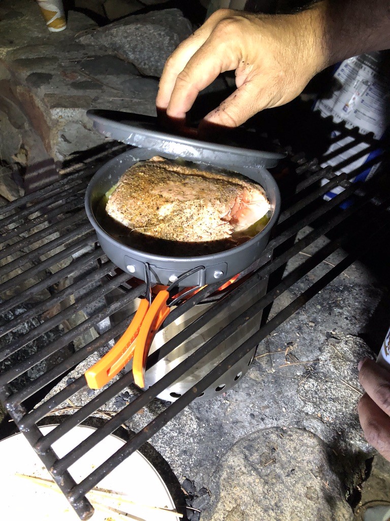 Camp stove salmon